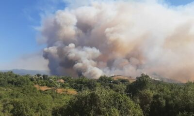 Osmaniye Valisi Erdinç Yılmaz’dan orman yangını açıklaması