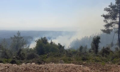 Osmaniye’de çıkan orman yangını büyümeden söndürüldü