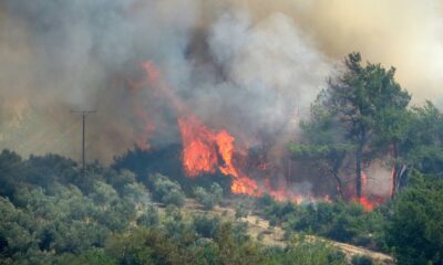 Osmaniye’de çıkan orman yangını devam ediyor