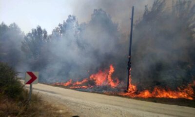 Osmaniye’de orman yangını büyümeden söndürüldü