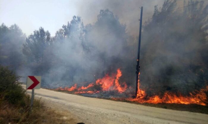 Osmaniye’de orman yangını büyümeden söndürüldü