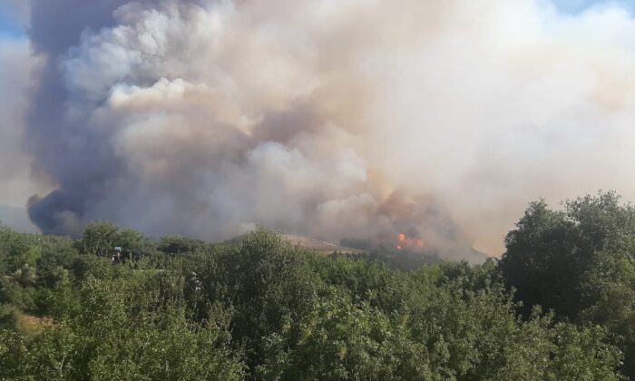 Osmaniye’de orman yangını