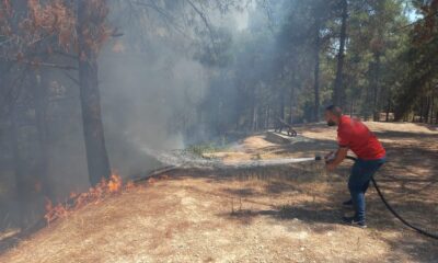 Osmaniye’de ormanlık alanda çıkan yangın büyümeden söndürüldü