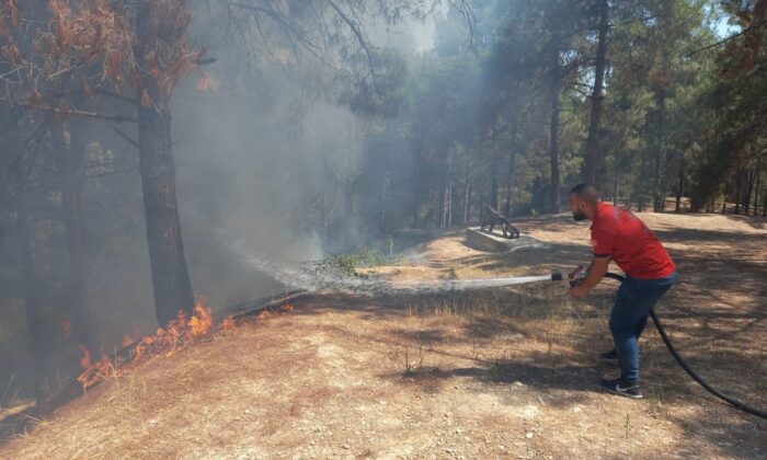 Osmaniye’de ormanlık alanda çıkan yangın büyümeden söndürüldü