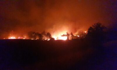 Osmaniye’deki orman yangınına karadan müdahale devam ediyor
