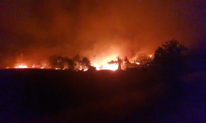Osmaniye’deki orman yangınına karadan müdahale devam ediyor