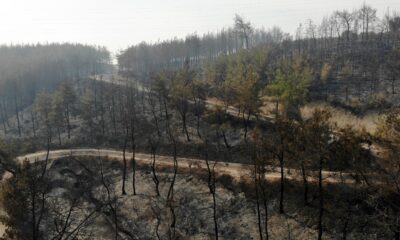 Osmaniye’deki orman yangınında yanan alanlar havadan görüntülendi