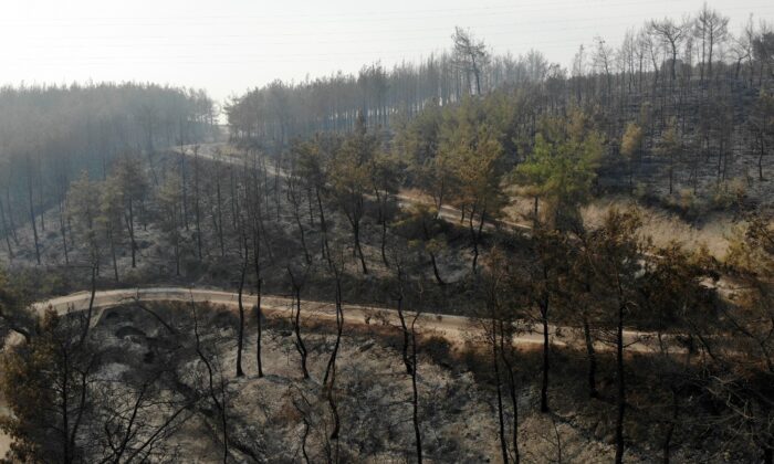 Osmaniye’deki orman yangınında yanan alanlar havadan görüntülendi
