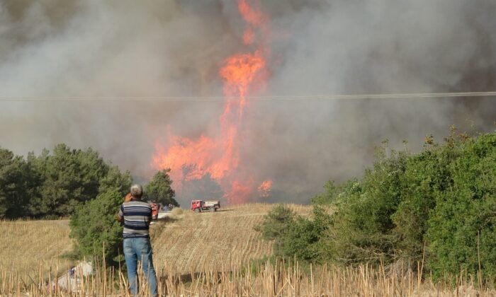 Osmaniye’deki orman yangınını söndürme çalışmaları sürüyor