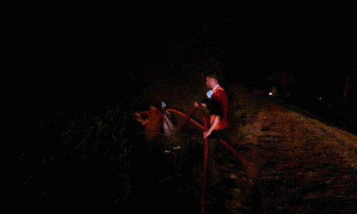 Osmaniye’deki orman yangınını söndürme çalışmaları sürüyor