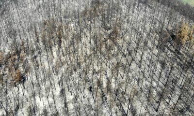 Osmaniye’deki orman yangınının ilerlemesi durduruldu