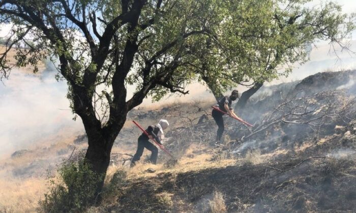 (ÖZEL) Anız yangınına kadın itfaiyeci müdahalesi
