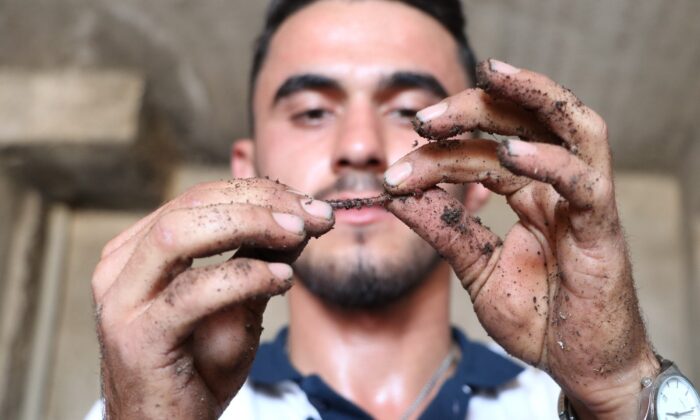 (Özel) İnternette gördü: 1 milyon solucanla aylık 1 ton gübre üretiyor