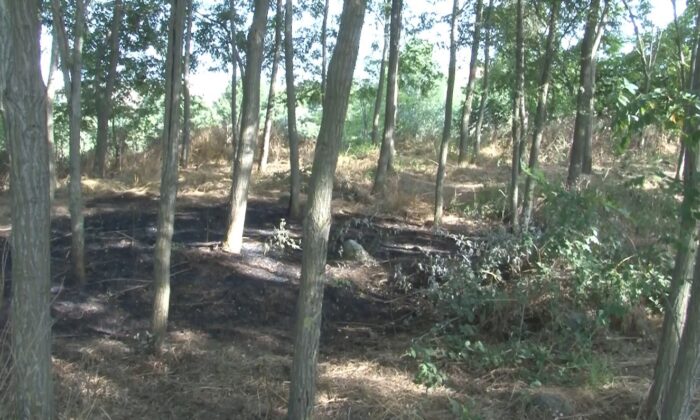 (Özel) İstanbul’da ormanın yandığını gören köylüler erken müdahale ile facianın önüne geçti