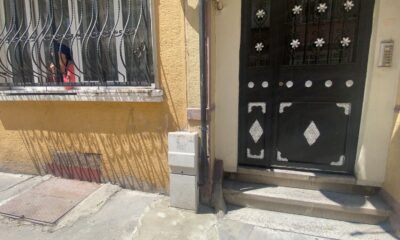 (Özel) İstanbul’un göbeğinde yılan paniği