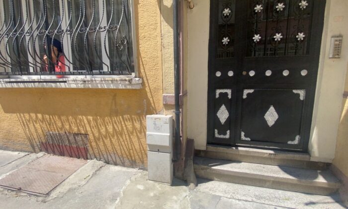 (Özel) İstanbul’un göbeğinde yılan paniği