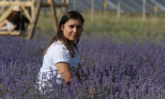 (Özel) Kadın girişimci bozkıra lavanta bahçesi kurdu