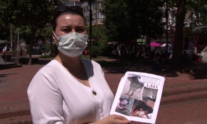 (Özel) Kaybolan köpeğini bulana bir cumhuriyet altını verecek