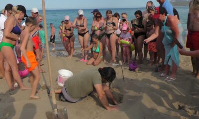 (ÖZEL) Kemer’de yeni caretta caretta yumurtlama alanı tespit edilip yuvalar koruma altına alındı