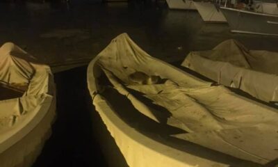 (Özel) Kınalıada’da görülen su samuru vatandaşların ilgi odağı oldu