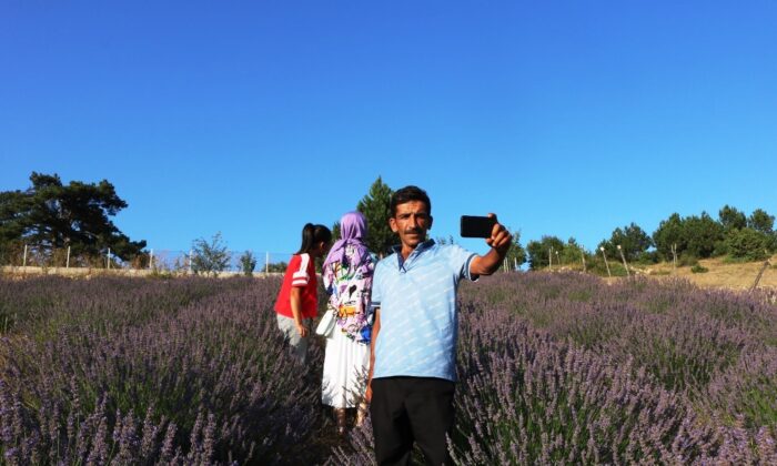 (ÖZEL) Köydeki lavanta tarlası fotoğraf tutkunlarının ilgi odağı