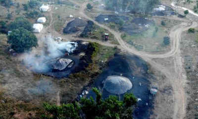 (Özel) Mangal kömürü üretmek için gece gündüz mesai yapıyorlar