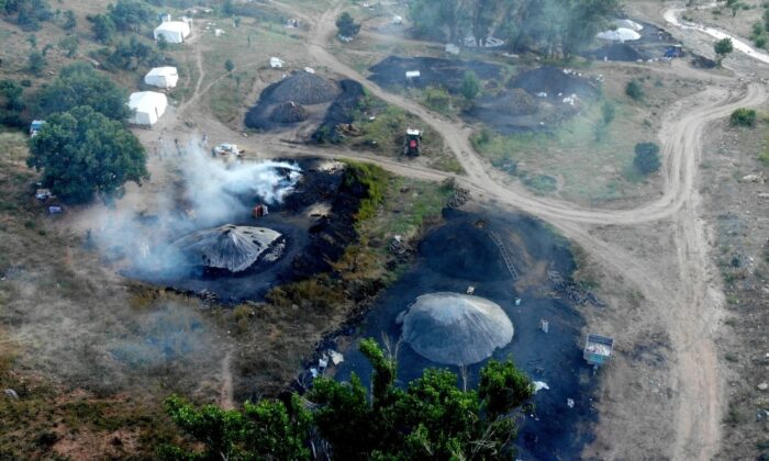 (Özel) Mangal kömürü üretmek için gece gündüz mesai yapıyorlar