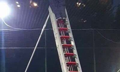 (Özel) Pendik’te halı sahanın filelerinde mahsur kalan martıyı itfaiye böyle kurtardı