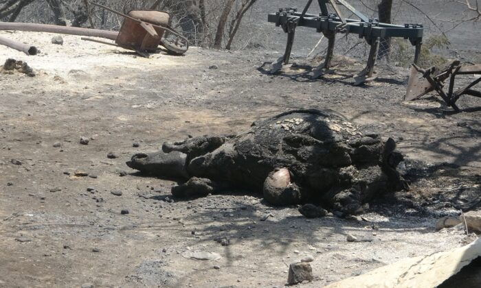 (Özel) Sarılar’da yeniden yükselen alevler evleri tehdit etti mahalleli sokağa döküldü