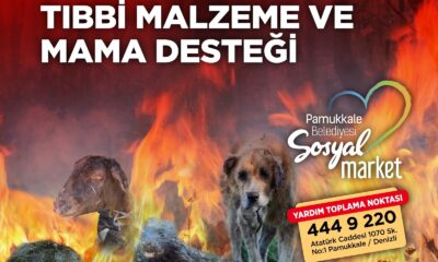 Pamukkale Belediyesi can dostları için kampanya düzenledi