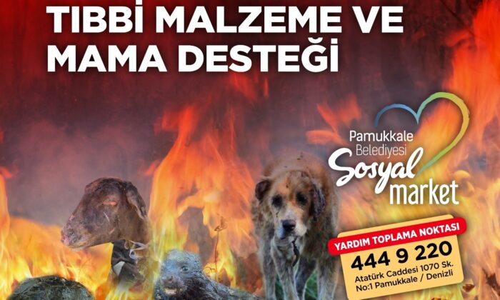 Pamukkale Belediyesi can dostları için kampanya düzenledi