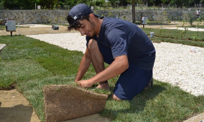 Pandeminin gülen sektörü: ’Peyzaj’