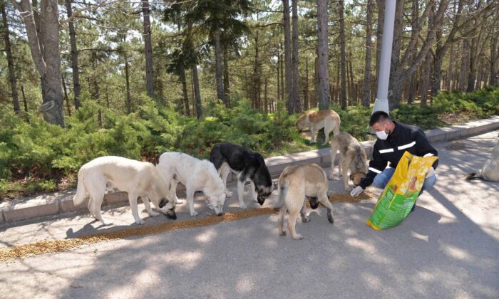 Patili dostlarımız tatil boyunca unutulmadı