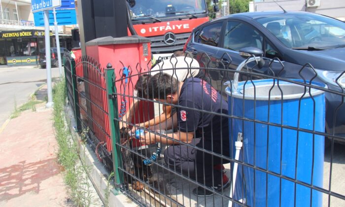 Petrol istasyonunun çevre tellerine sıkışan doberman için seferber oldular
