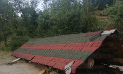 Piknik yaptıkları kamelyanın altında kaldılar