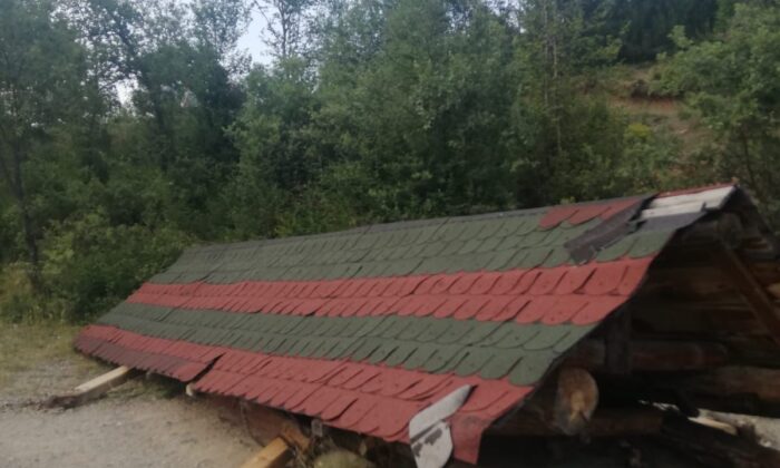 Piknik yaptıkları kamelyanın altında kaldılar