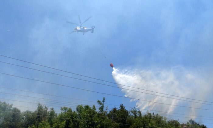 Portakal bahçesine sıçrayan yangın büyümeden söndürüldü