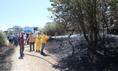 Pozantı’daki orman yangını söndürüldü