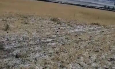 Sağanak yağış ve dolu ekili alanlara zarar verdi