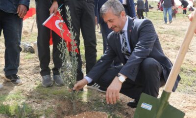 Şahinbey’den yeşil vatan için 27 bin ağaç desteği
