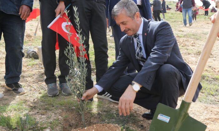 Şahinbey’den yeşil vatan için 27 bin ağaç desteği