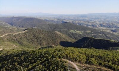 Samsun’da ateşli piknik yapmak yasaklandı