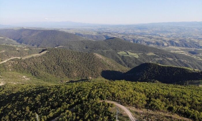 Samsun’da ateşli piknik yapmak yasaklandı
