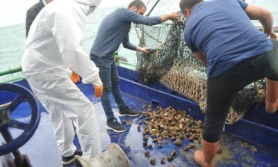 Samsun’da en çok hayvansal ürün ihracatı balık yağı ile gerçekleşti