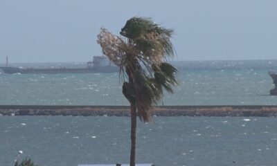 Samsun’da kuvvetli rüzgar