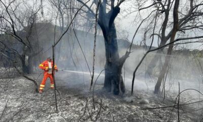 Sardunya Adası’ndaki yangın iki noktada devam ediyor