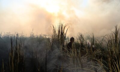 Sazlık alandaki yangın ekipleri harekete geçirdi