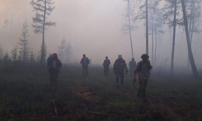 Sibirya’daki orman yangınları 1.3 milyon hektarlık alanı küle çevirdi