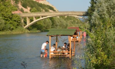 Sıcak havalarda çayda böyle serinliyorlar