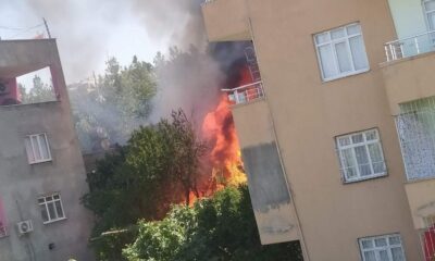 Siirt’te odunlukta çıkan yangın korkuttu: 3 çocuk dumandan etkilendi